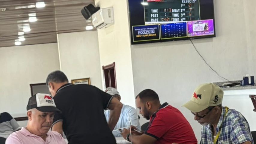 Caballos importados en el Hipódromo Quinto Centenario de Santo Domingo Este durante una venta de la Comisión Hípica Nacional
