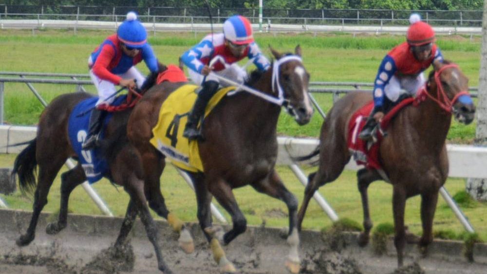 Caballos en la pista del Hipódromo Quinto Centenario durante una carrera en Santo Domingo