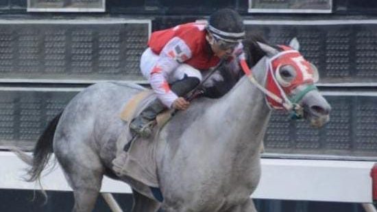 Jinete del Establo Emma Elena cruza la meta en el Hipódromo Quinto Centenario durante la cartelera del martes 13 de octubre de 2026