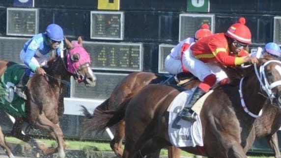 Potranca Jesse Dancing cruzando la meta en el Hipódromo Quinto Centenario con el jinete Jonathan Estévez