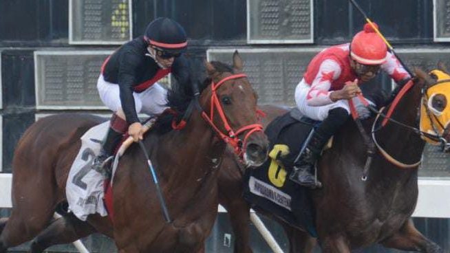 Jinete José Francis Rojas montando en el Hipódromo Quinto Centenario durante el cartel 78 del año 2026